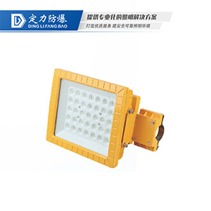 LED免维护防爆灯(路灯型)DFC-8611A